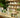 Cbd Puissant