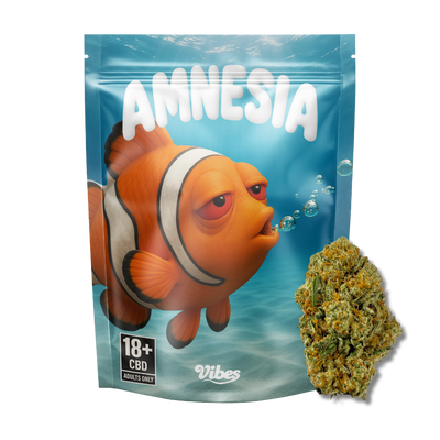 Amnésia Haze CBD 🐠 | Vibes