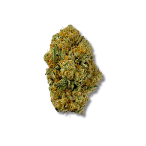 Amnésia Haze CBD 🐠 | Vibes