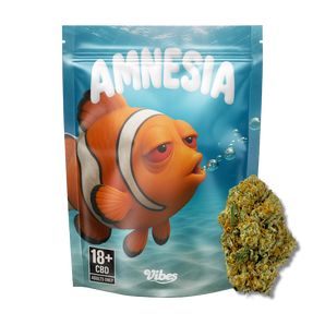 Amnésia Haze CBD 🐠 | Vibes