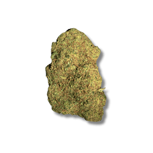 Obiwan OG CBC 🚀 | Vibes