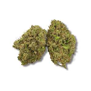 White Widow CBD 🕷️ | Vibes